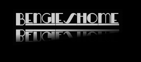 Bengieshome